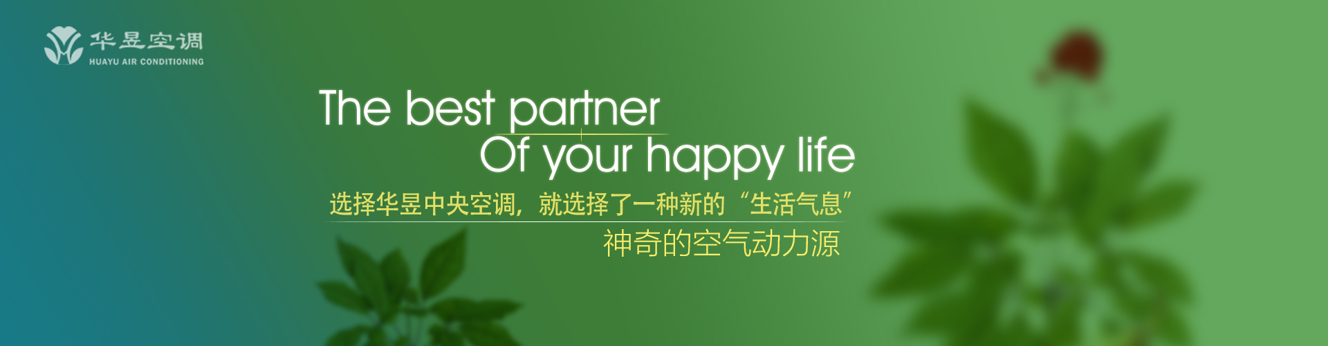 百伶百俐网